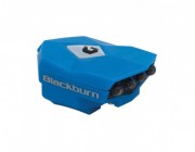 Blackburn Flea 2 USB