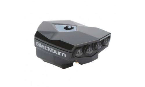 Blackburn Flea 2 USB