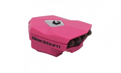 Blackburn Flea 2 USB