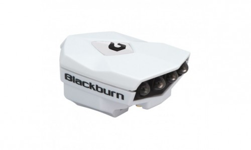Blackburn Flea 2 USB