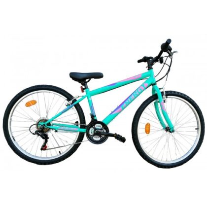 Energy Thunder 24'