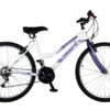 ORIENT COMFORT 24' ORIENT COMFORT 24'